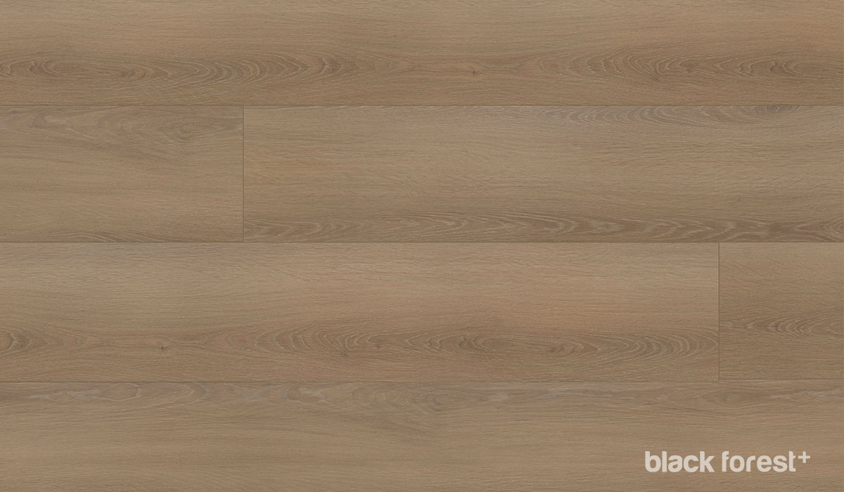 Wych Elm – 1 Strip