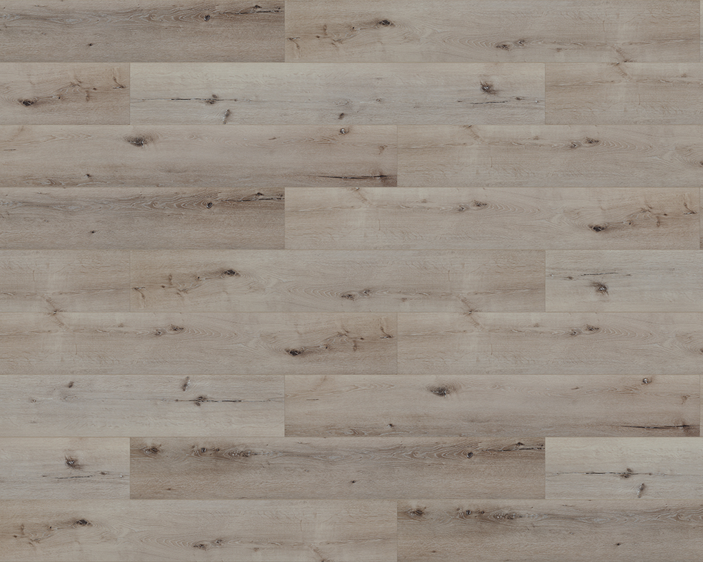Hoag – 1 Strip
